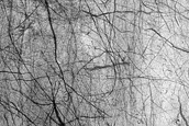 Southeastern Noachis Terra