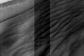 USGS Dune Database Entry Number 3197-634
