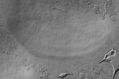 South Polar Residual Cap Intraseasonal Change Monitoring