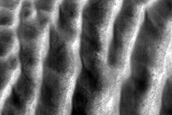 USGS Dune Database Entry Number 1561-640