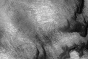 USGS Dune Database Entry Number 1299-667