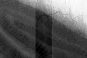 USGS Dune Database Entry Number 0475-644