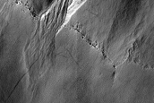Gully Monitoring