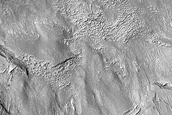 Gully Monitoring