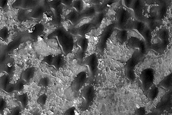 Dune Field in Baldet Crater