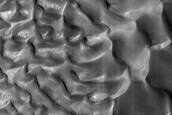 Complex Dune in Thaumasia Region