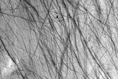 Dark Filamentary Streak Year-Round Monitor Site in Noachis Terra