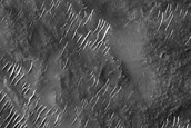 Protva Valles Terrain Sample