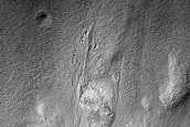 Gully Monitoring