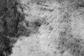 South Polar Region Cryptic Terrain Margin Monitoring in Reynolds Crater