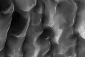 Linear Gully Activity after Global Dust Storm in Procter Crater