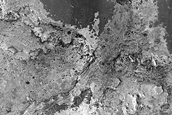 River Bed