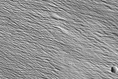 Thermally Distinct Unit on Topography facing Nicholson Crater