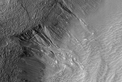 Gully Monitoring