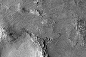 Holden Crater and Eberswalde Crater Terrain Sample