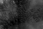 Dune Monitoring in Crater