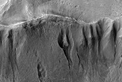 Gully Monitoring