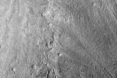 Gully Monitoring
