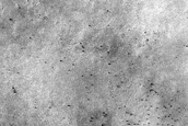 Seasonal Activity near Mellish Crater