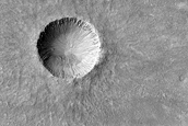 Gully Monitoring