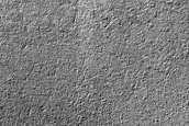 Promethei Lingula Surface Roughness