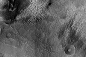 Dune Monitoring