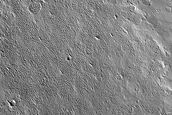 Candidate Recent Impact Site