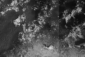 USGS Dune Database Entry Number 0113-497