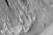 Gully Monitoring