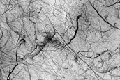 Dark Filamentary Streak Year-Round Monitor Site in Promethei Terra