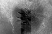 Dune Monitoring