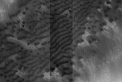 Dune Monitoring