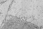 Terrain Sample of Lava in Amazonis Planitia