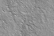 Candidate Recent Impact Site