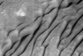 USGS Dune Database Entry Number 1175-665