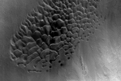Dune Monitoring