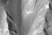 Ancient Crust Outcrops at Nectaris Montes