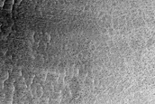 Distorted Polar Crust
