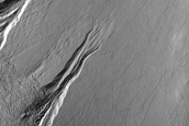 Gully Monitoring