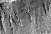 Gullies