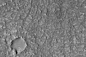 Mafic Minerals in Terra Cimmeria Crater Floor Bedrock