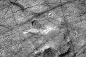 Dust Devil Track Monitoring