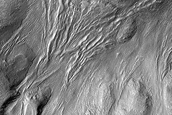Gully Monitoring