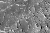 Interaction of Fluvial Ridge with Kilometer-Scale Polygonal Ridge System