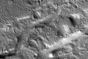 Extensional Features and Secondary Craters