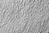 Edge of Dune Field