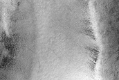 Rim of Overlapping Craters