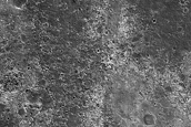 Possible Chloride-Rich Deposits near Coogoon Valles