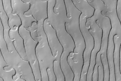 Terrain Sample