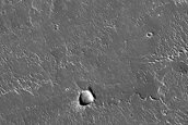 Olympus Rupes